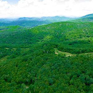 Photo #22 of Off Pond Mountain Lane, Whitetop, VA 186.5 acres