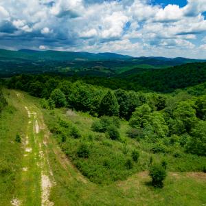 Photo #17 of Off Pond Mountain Lane, Whitetop, VA 186.5 acres
