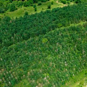Photo #23 of Off Pond Mountain Lane, Whitetop, VA 186.5 acres