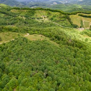 Photo #24 of Off Pond Mountain Lane, Whitetop, VA 186.5 acres