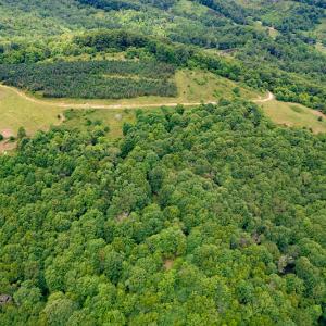 Photo #25 of Off Pond Mountain Lane, Whitetop, VA 186.5 acres