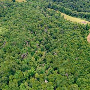Photo #26 of Off Pond Mountain Lane, Whitetop, VA 186.5 acres
