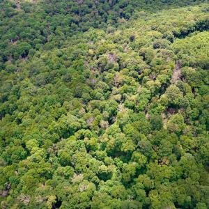 Photo #27 of Off Pond Mountain Lane, Whitetop, VA 186.5 acres