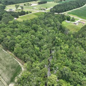 Photo #14 of SOLD property in 3289 Soundside Road, Columbia, NC 2.0 acres