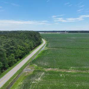 Photo #10 of SOLD property in 3289 Soundside Road, Columbia, NC 2.0 acres