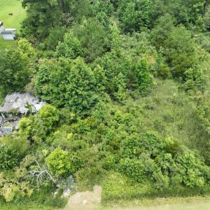 Photo #13 of SOLD property in 3289 Soundside Road, Columbia, NC 2.0 acres