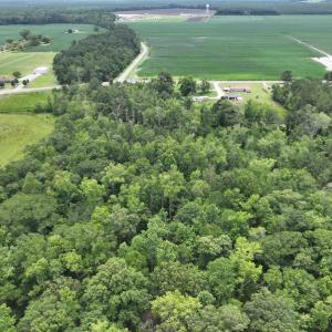 Photo #6 of SOLD property in 3289 Soundside Road, Columbia, NC 2.0 acres