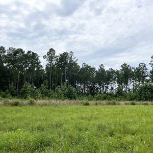 Photo #5 of SOLD property in 2003 Irvin Enzor Road N, Fair Bluff, NC 11.0 acres