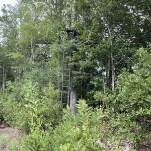 Photo #6 of SOLD property in 2003 Irvin Enzor Road N, Fair Bluff, NC 11.0 acres