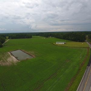 Photo #3 of Near 15539 Swamp Fox Hwy E, Tabor City, NC 20.0 acres