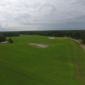 Photo #5 of Near 15539 Swamp Fox Hwy E, Tabor City, NC 20.0 acres