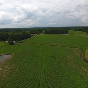 Photo #6 of Near 15539 Swamp Fox Hwy E, Tabor City, NC 20.0 acres