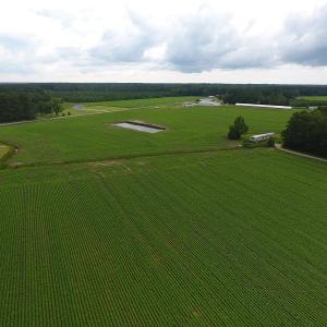 Photo #7 of Near 15539 Swamp Fox Hwy E, Tabor City, NC 20.0 acres