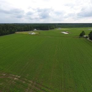 Photo #8 of Near 15539 Swamp Fox Hwy E, Tabor City, NC 20.0 acres