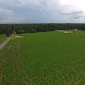 Photo #9 of Near 15539 Swamp Fox Hwy E, Tabor City, NC 20.0 acres