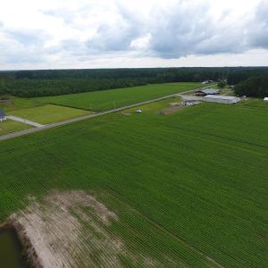 Photo #10 of Near 15539 Swamp Fox Hwy E, Tabor City, NC 20.0 acres