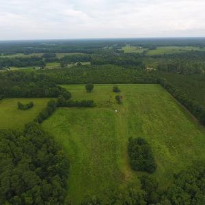 Photo #2 of Off Kemper Church Road, Lake View, SC 30.4 acres