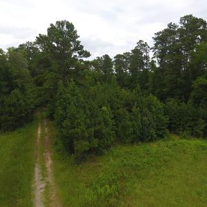 Photo #11 of Off Kemper Church Road, Lake View, SC 30.4 acres