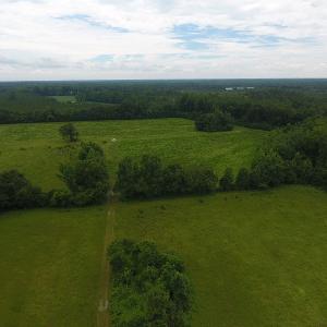 Photo #12 of Off Kemper Church Road, Lake View, SC 30.4 acres