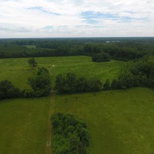 Photo #12 of Off Kemper Church Road, Lake View, SC 30.4 acres
