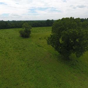 Photo #13 of Off Kemper Church Road, Lake View, SC 30.4 acres