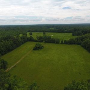 Photo #3 of Off Kemper Church Road, Lake View, SC 30.4 acres