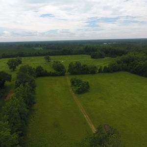 Photo #4 of Off Kemper Church Road, Lake View, SC 30.4 acres