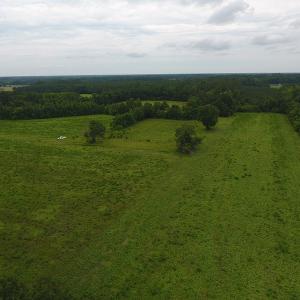Photo #6 of Off Kemper Church Road, Lake View, SC 30.4 acres