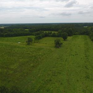 Photo #6 of Off Kemper Church Road, Lake View, SC 30.4 acres