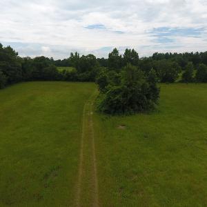 Photo #8 of Off Kemper Church Road, Lake View, SC 30.4 acres