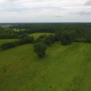 Photo #9 of Off Kemper Church Road, Lake View, SC 30.4 acres