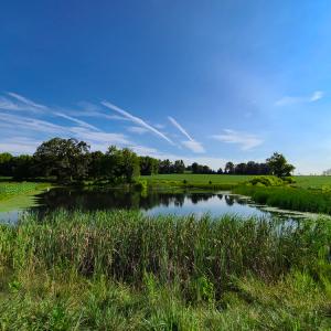 Photo #2 of SOLD property in 1074 Coon Trail, South Boston, VA 253.0 acres