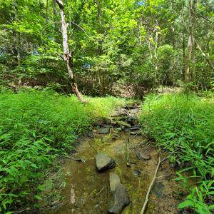 Photo #4 of SOLD property in 1074 Coon Trail, South Boston, VA 253.0 acres