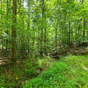 Photo #5 of SOLD property in 1074 Coon Trail, South Boston, VA 253.0 acres