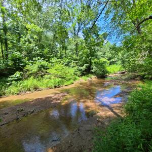 Photo #11 of SOLD property in 1074 Coon Trail, South Boston, VA 253.0 acres