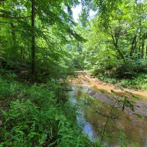 Photo #12 of SOLD property in 1074 Coon Trail, South Boston, VA 253.0 acres