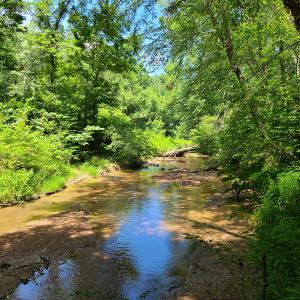 Photo #13 of SOLD property in 1074 Coon Trail, South Boston, VA 253.0 acres