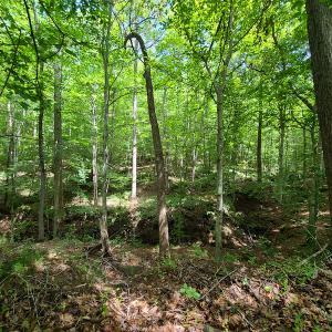 Photo #19 of SOLD property in 1074 Coon Trail, South Boston, VA 253.0 acres