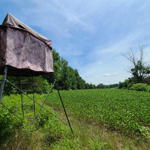 Photo #20 of SOLD property in 1074 Coon Trail, South Boston, VA 253.0 acres