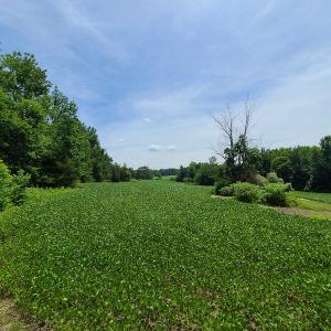 Photo #21 of SOLD property in 1074 Coon Trail, South Boston, VA 253.0 acres