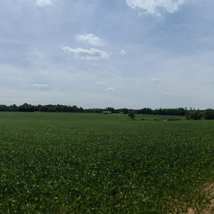 Photo #22 of SOLD property in 1074 Coon Trail, South Boston, VA 253.0 acres