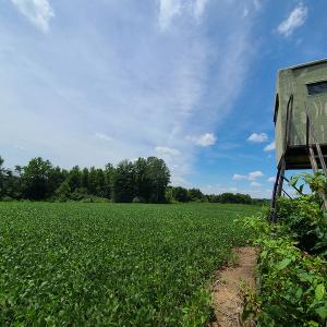 Photo #24 of SOLD property in 1074 Coon Trail, South Boston, VA 253.0 acres