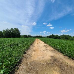 Photo #25 of SOLD property in 1074 Coon Trail, South Boston, VA 253.0 acres