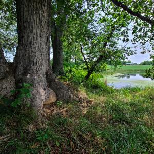 Photo #27 of SOLD property in 1074 Coon Trail, South Boston, VA 253.0 acres