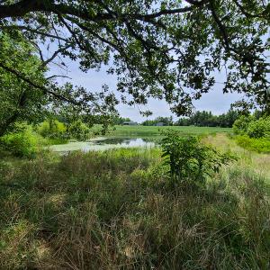 Photo #28 of SOLD property in 1074 Coon Trail, South Boston, VA 253.0 acres