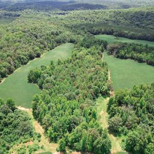 Photo #29 of SOLD property in 1074 Coon Trail, South Boston, VA 253.0 acres