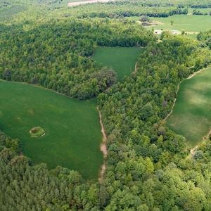 Photo #30 of SOLD property in 1074 Coon Trail, South Boston, VA 253.0 acres