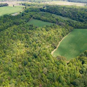 Photo #31 of SOLD property in 1074 Coon Trail, South Boston, VA 253.0 acres