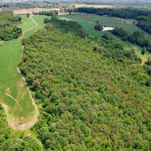 Photo #34 of SOLD property in 1074 Coon Trail, South Boston, VA 253.0 acres