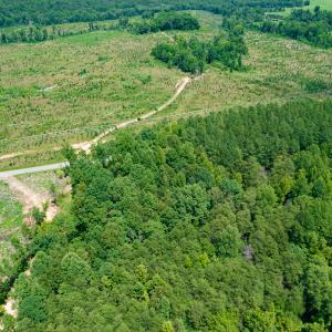 Photo #36 of SOLD property in 1074 Coon Trail, South Boston, VA 253.0 acres